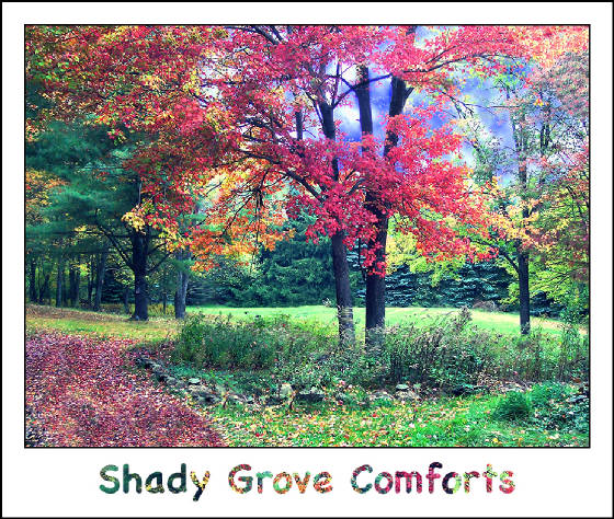 shadygrovefallpicture.jpg