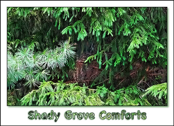 shadygrovetreespicture.jpg